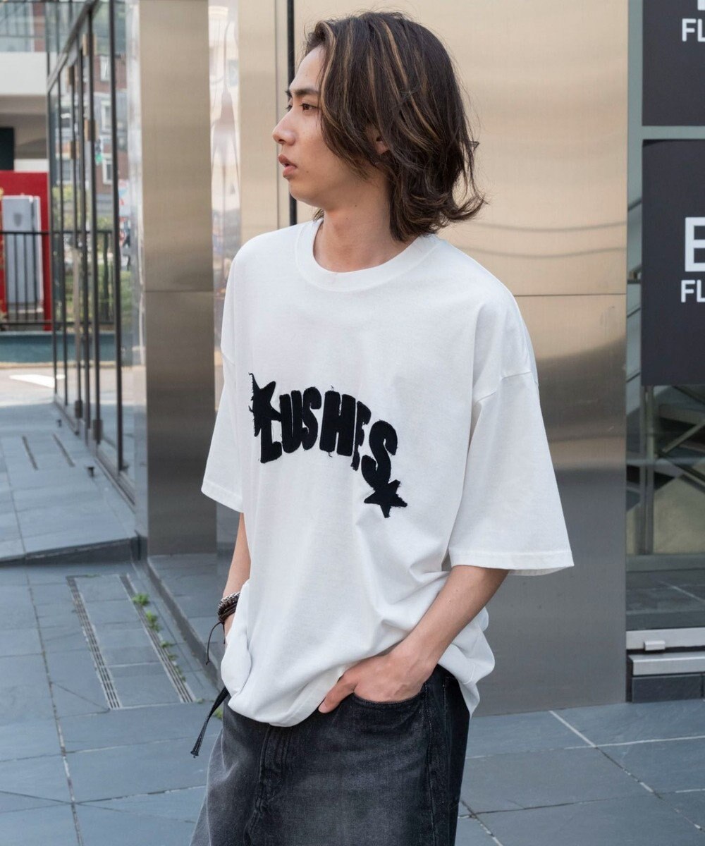 WEGO ダメージアップリケグラフィックT（SS） 