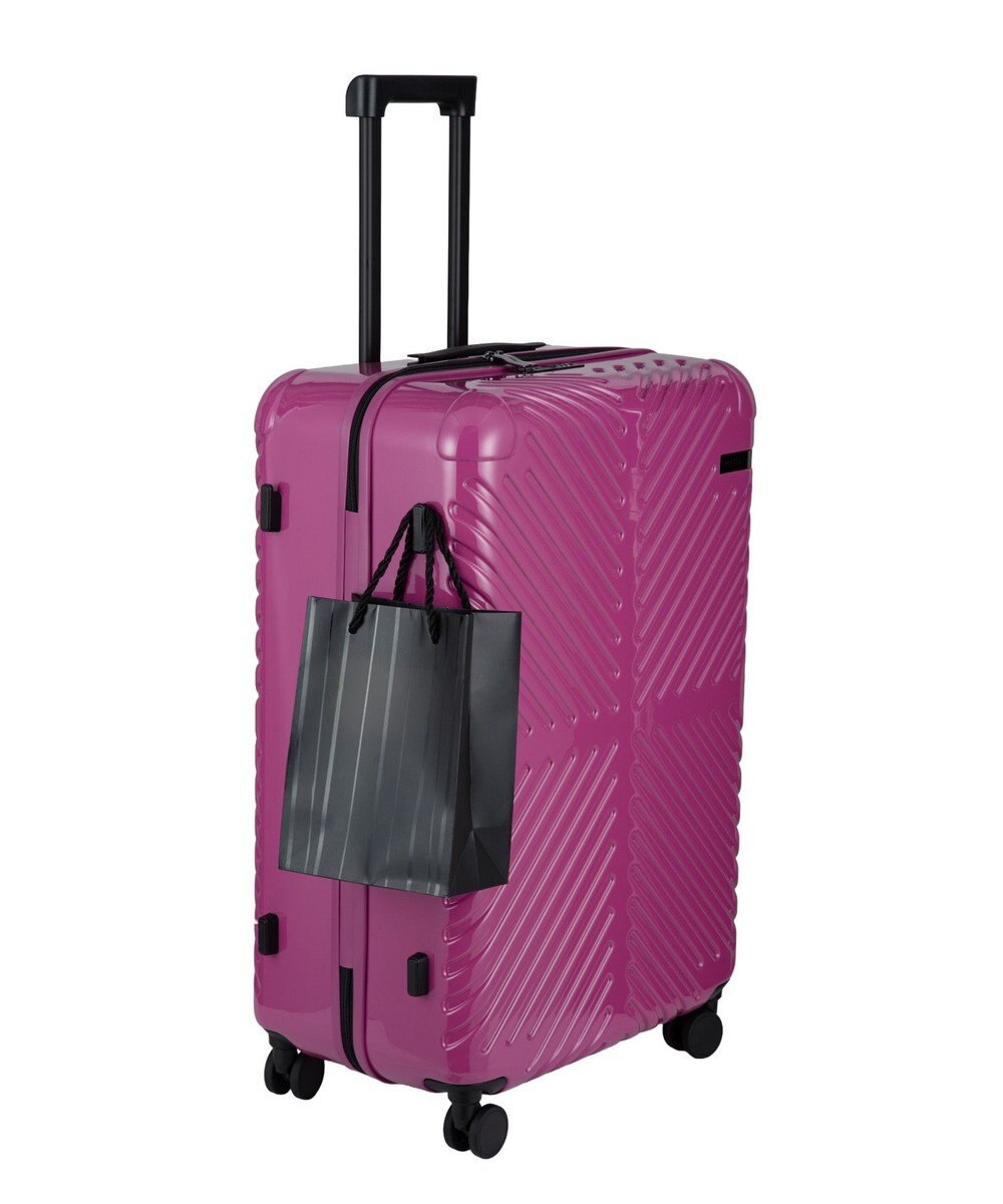 ACE BAGS & LUGGAGE ACE ラディアル Lサイズ 82Ｌ 06973 エース 