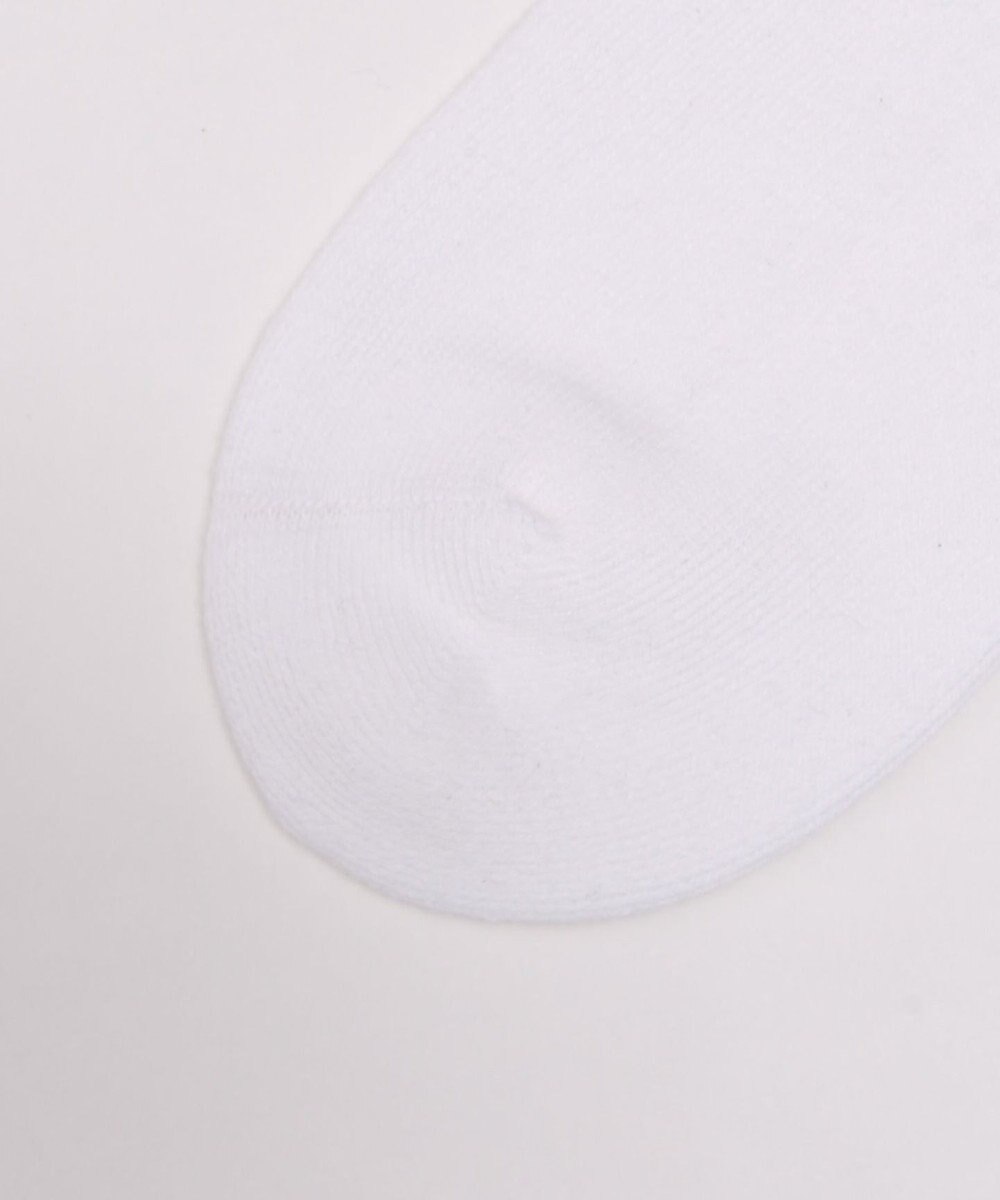 WEGO EXCEEDロゴリブソックス 