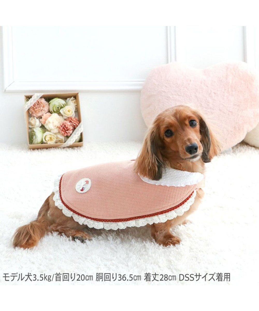 PET PARADISE ペットパラダイス お手軽 ポンチョ 《花苺》 小型犬 