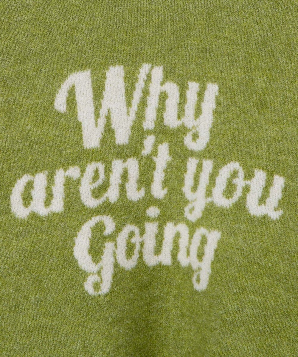 WEGO フラッフィーロゴジャガードニットプルオーバー 