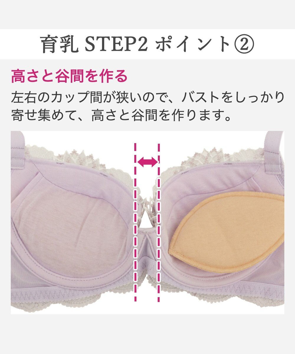 BRADELIS New York 【BRADELIS New York/ 育乳補整ブラ・STEP2 寄せる】ローズステップ2ブラ26S1 補正下着 しっかり谷間を作るブラ 