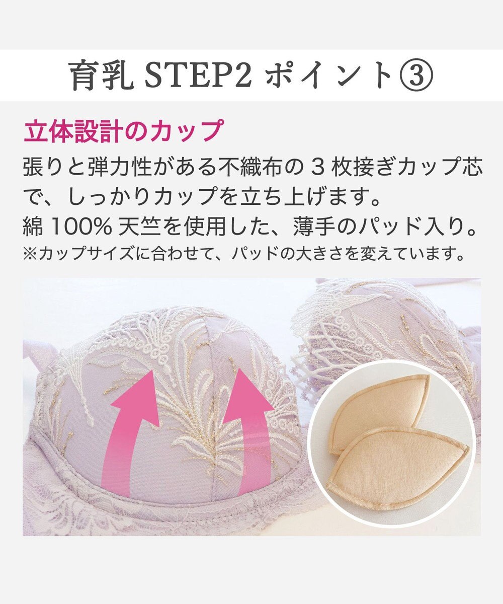 BRADELIS New York 【BRADELIS New York/ 育乳補整ブラ・STEP2 寄せる】ローズステップ2ブラ26S1 補正下着 しっかり谷間を作るブラ 
