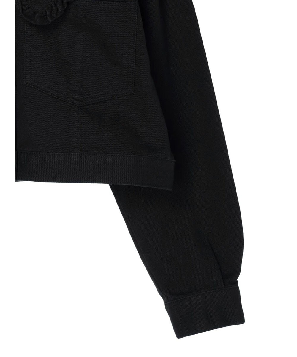 Green Parks ・Ｄｏｕｂｌｅ　Ｆｌａｇｓ　フリルカラージャケット 