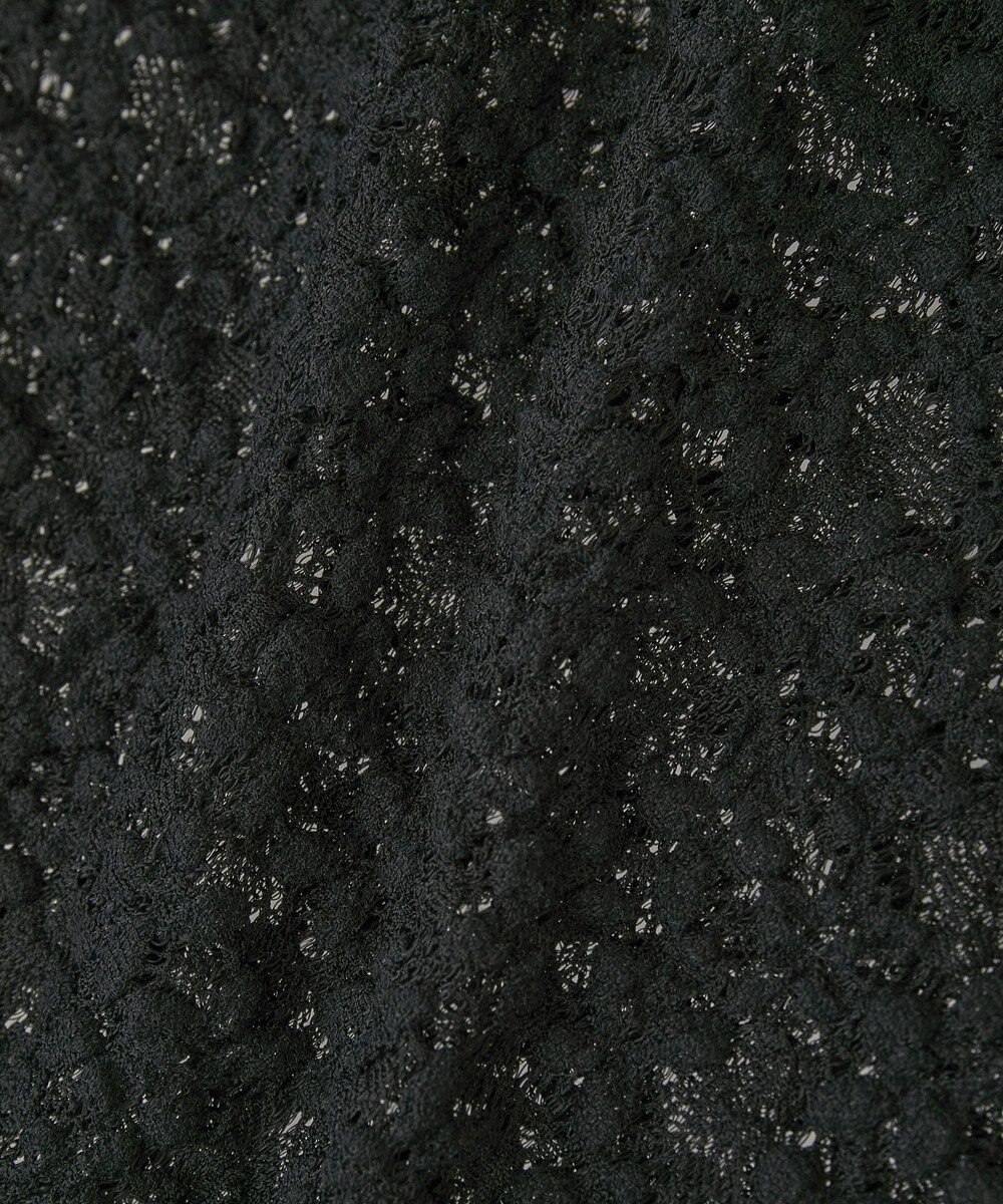 Green Parks カットレースシャツプルオーバー 