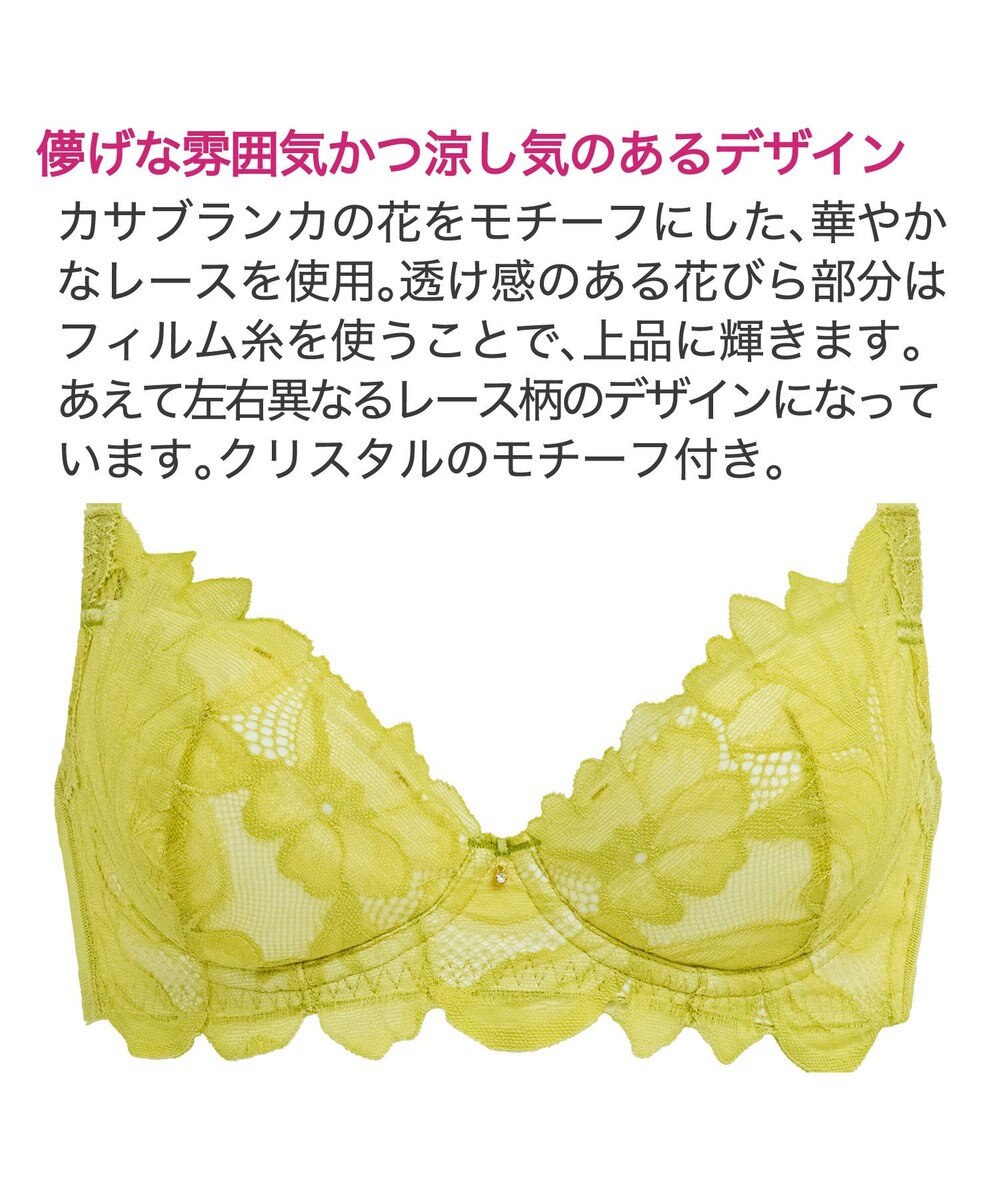 BRADELIS New York 【BRADELIS New York / 育乳補整ブラ・STEP1 集める】ジャスミンステップ1ブラ24A1 