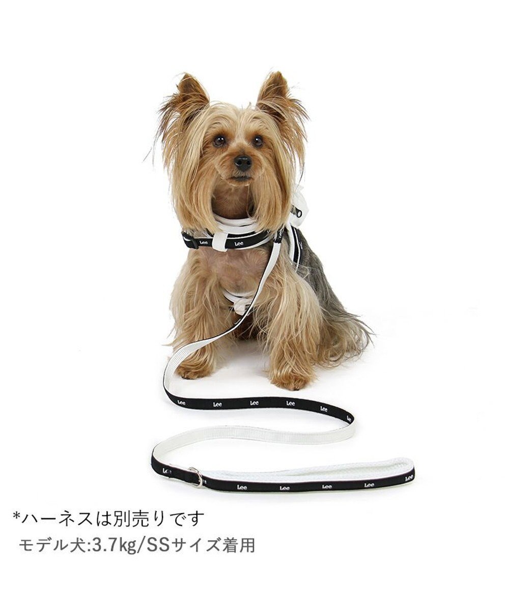 PET PARADISE  Ｌｅｅ 白テープ リード 超小型犬 ４Ｓ~３Ｓ 