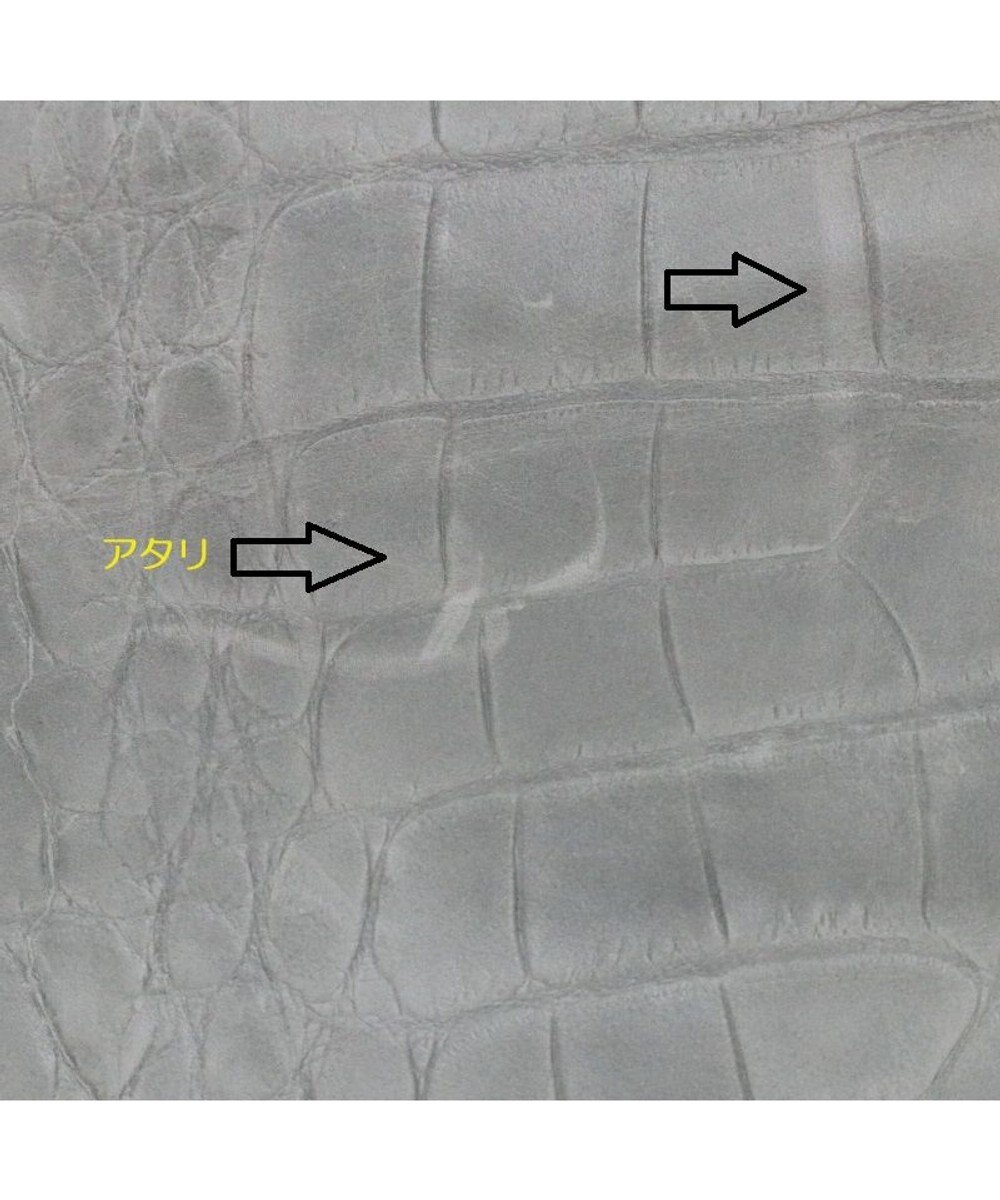 Regalo Felice 【お財布機能付き / 人気商品がリニューアル】ポシェット / REGALO 