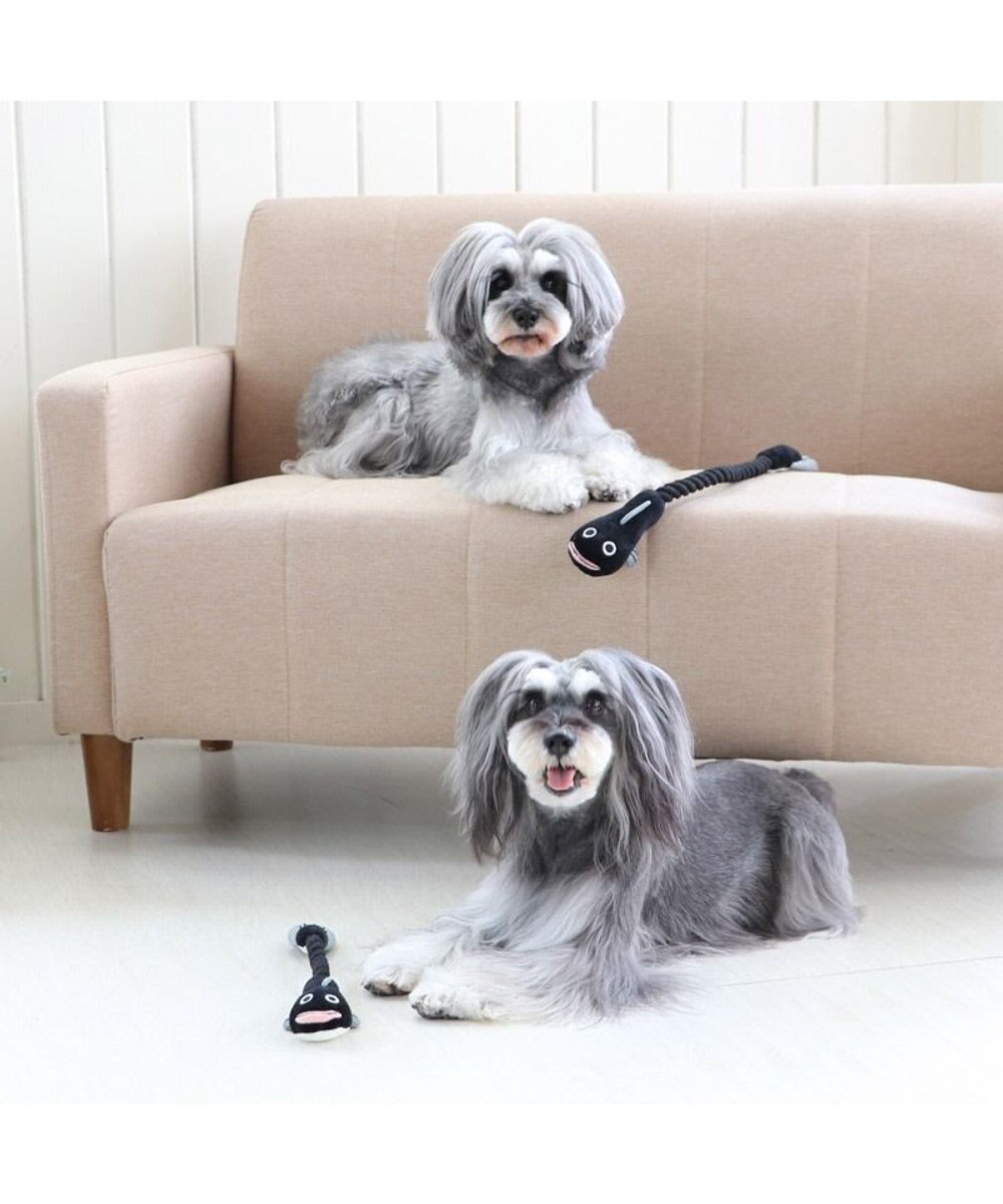 完成品 ブルー ペット用 サングラス インスタ映え 犬 猫 インテリア おもしろグッズ Www Anavara Com 完成品 ブルー ペット用 サングラス インスタ映え 犬 猫 インテリア おもしろグッズ Www Anavara Com