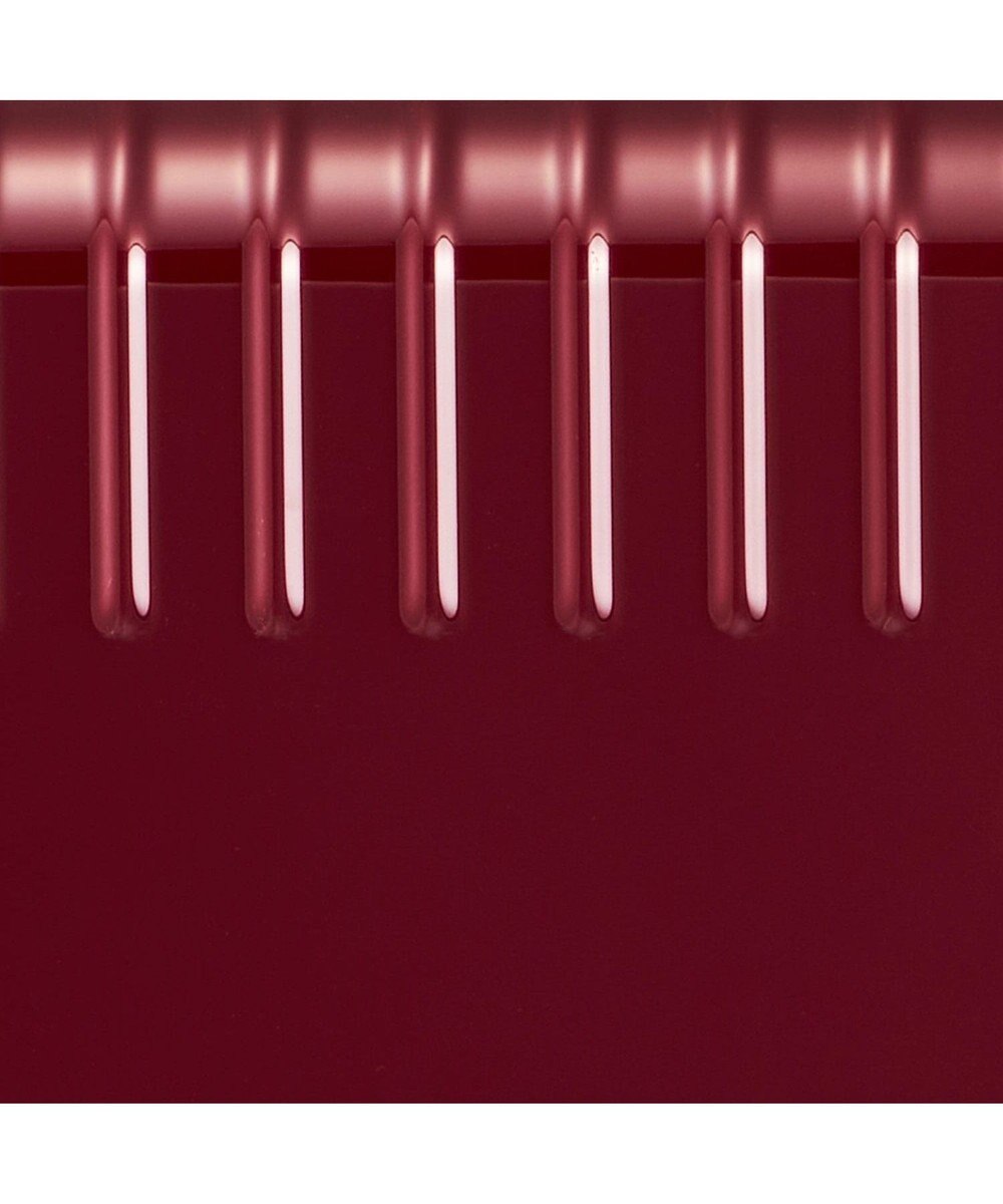 ACE BAGS & LUGGAGE ace. エース パリセイド3-Z 06914 スーツケース ジッパータイプ 52リットル 