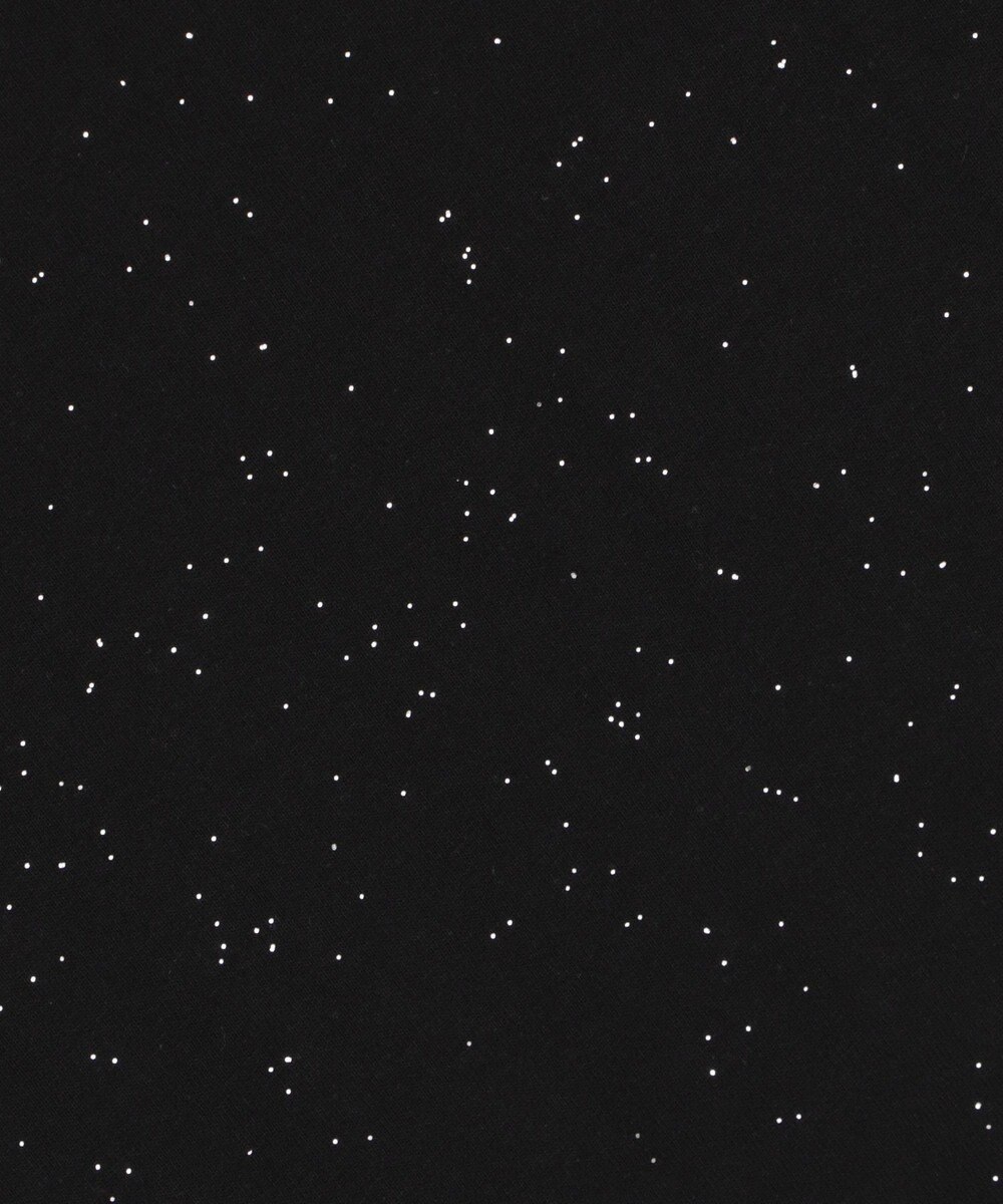 WEGO 【ユニセックス着用ITEM/MLサイズ展開】ラメグラフィックT（SS） 