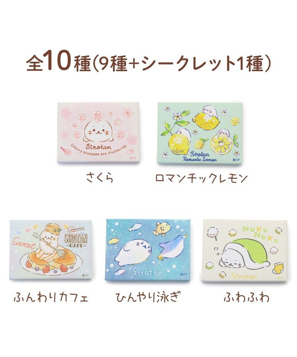 Mother garden しろたん ミニキャンバス コレクション第二弾 10個全部セット（シークレット1種含む） 