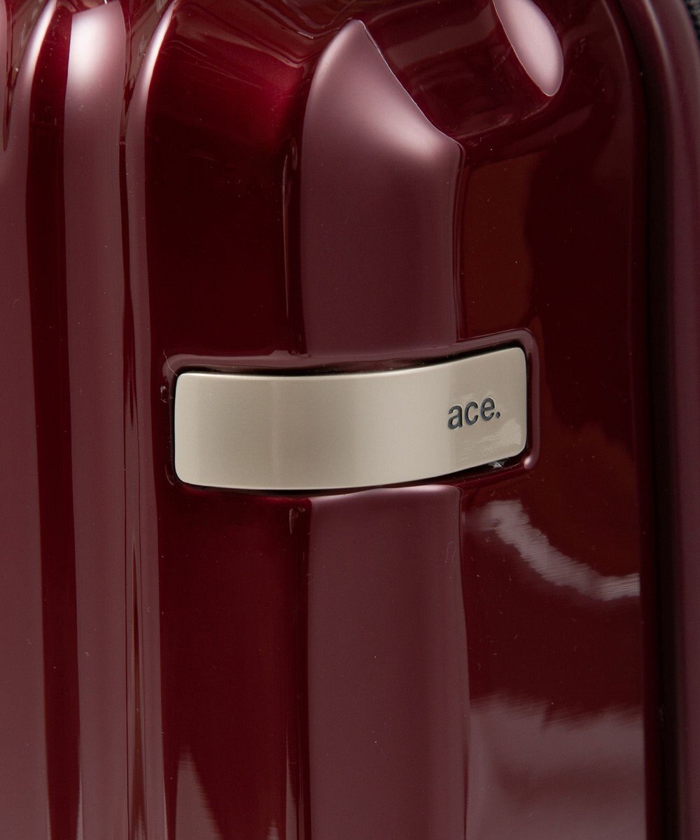 ACE BAGS & LUGGAGE ace. パリセイドZd 機内持ち込み Sサイズ 35～40L 06816 エース 