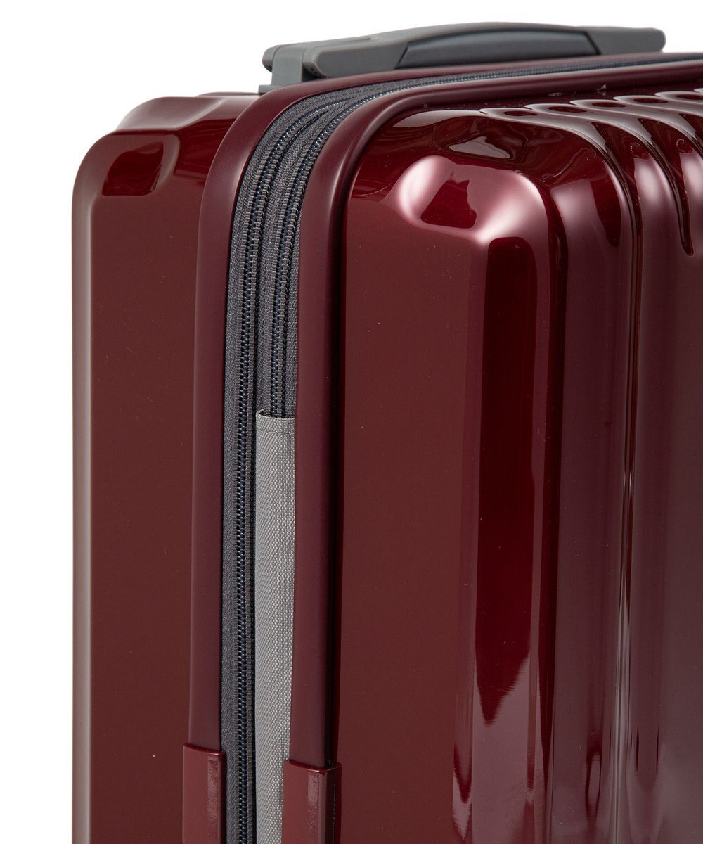 ACE BAGS & LUGGAGE ace. パリセイドZd 機内持ち込み Sサイズ 35～40L 06816 エース 