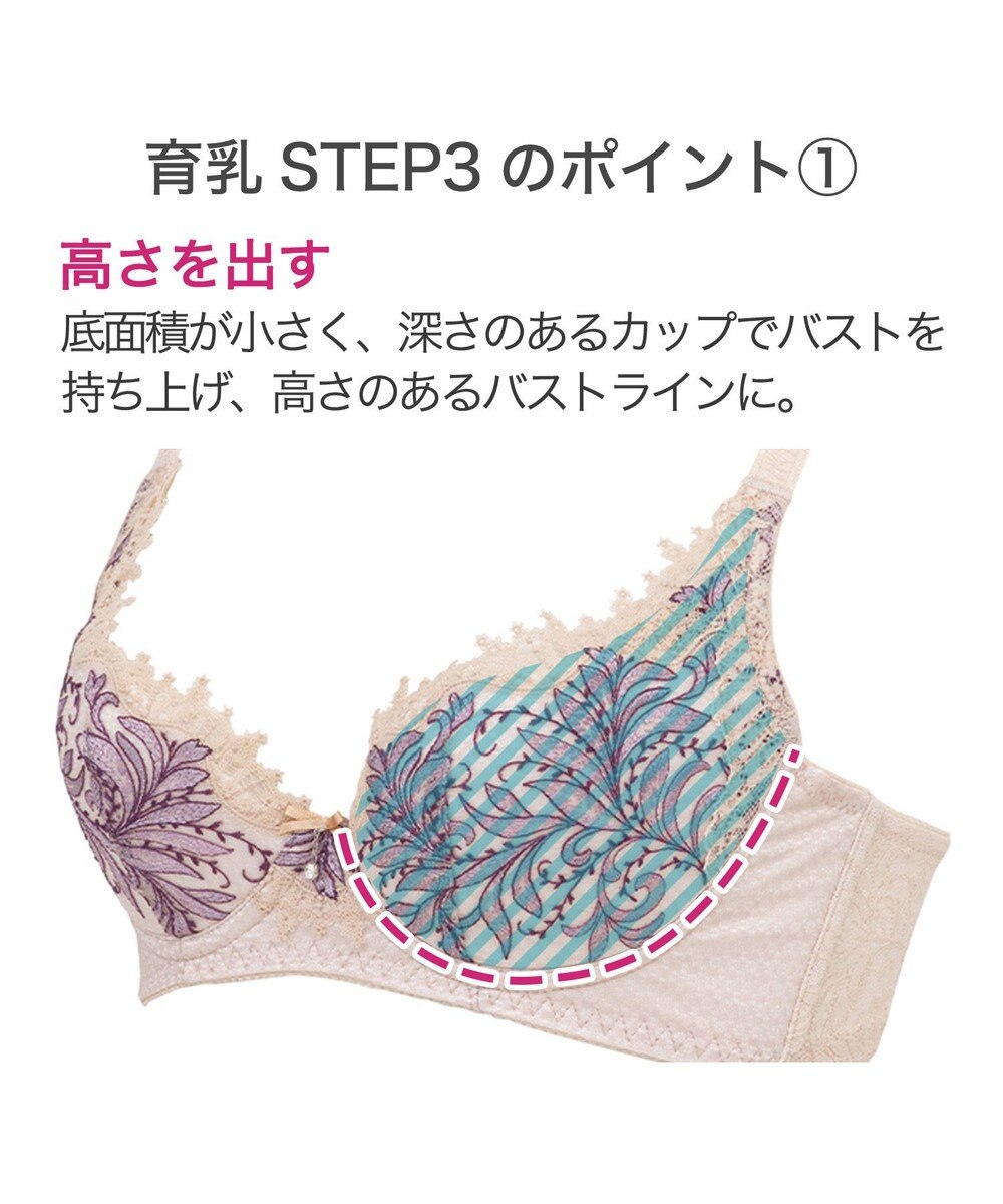 BRADELIS New York 【BRADELIS New York / 育乳STEP3 持ち上げる】ヴィオラステップ3ブラ23A1 美胸 谷間メイクする補正ブラ 