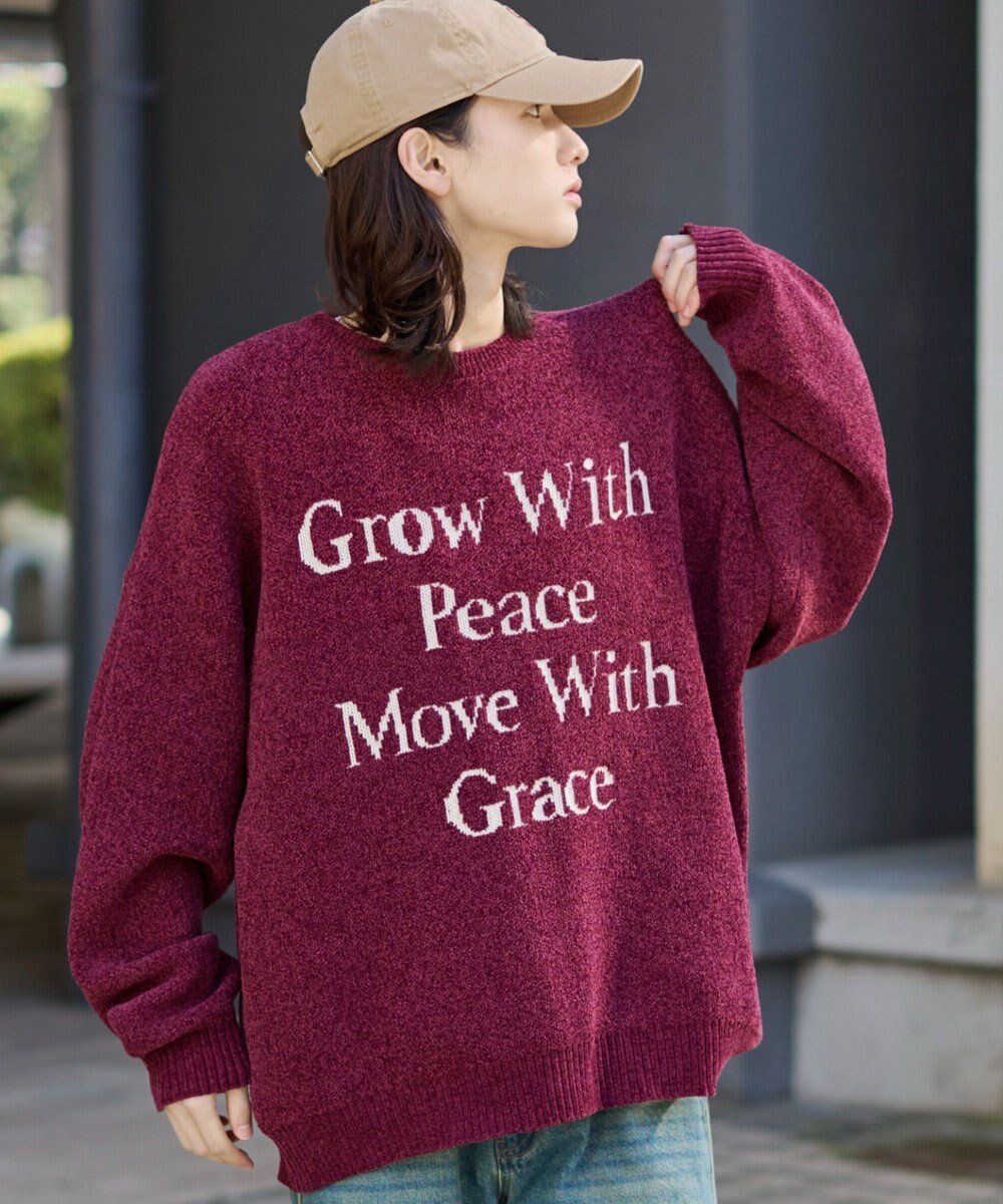 WEGO 【ユニセックス着用ITEM】ベロアモールグラフィックプルオーバー 