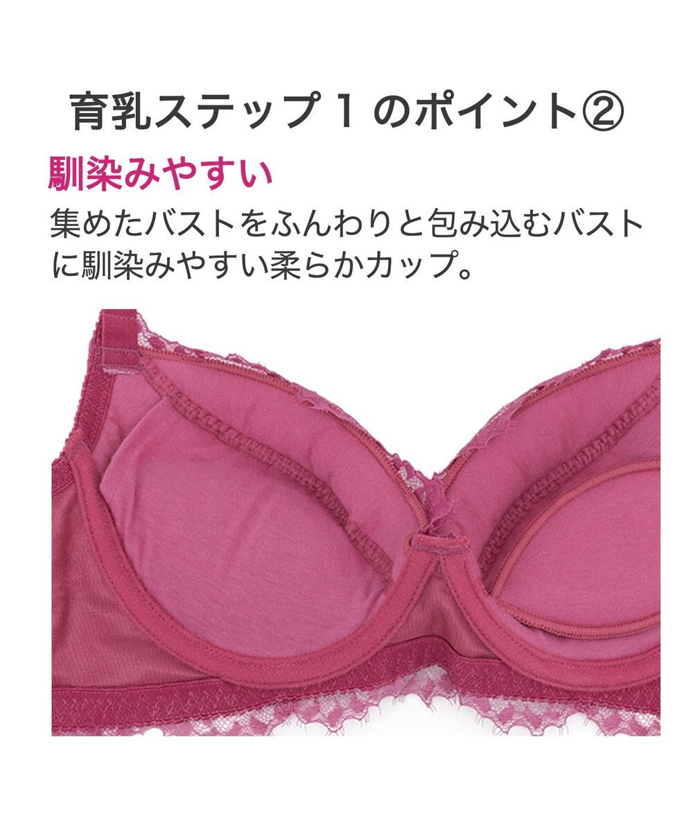 BRADELIS New York 【BRADELIS New York】ウェンディステップ1ブラ23A1 ふんわり包んでナチュラルなシルエットを作る補正ブラ 