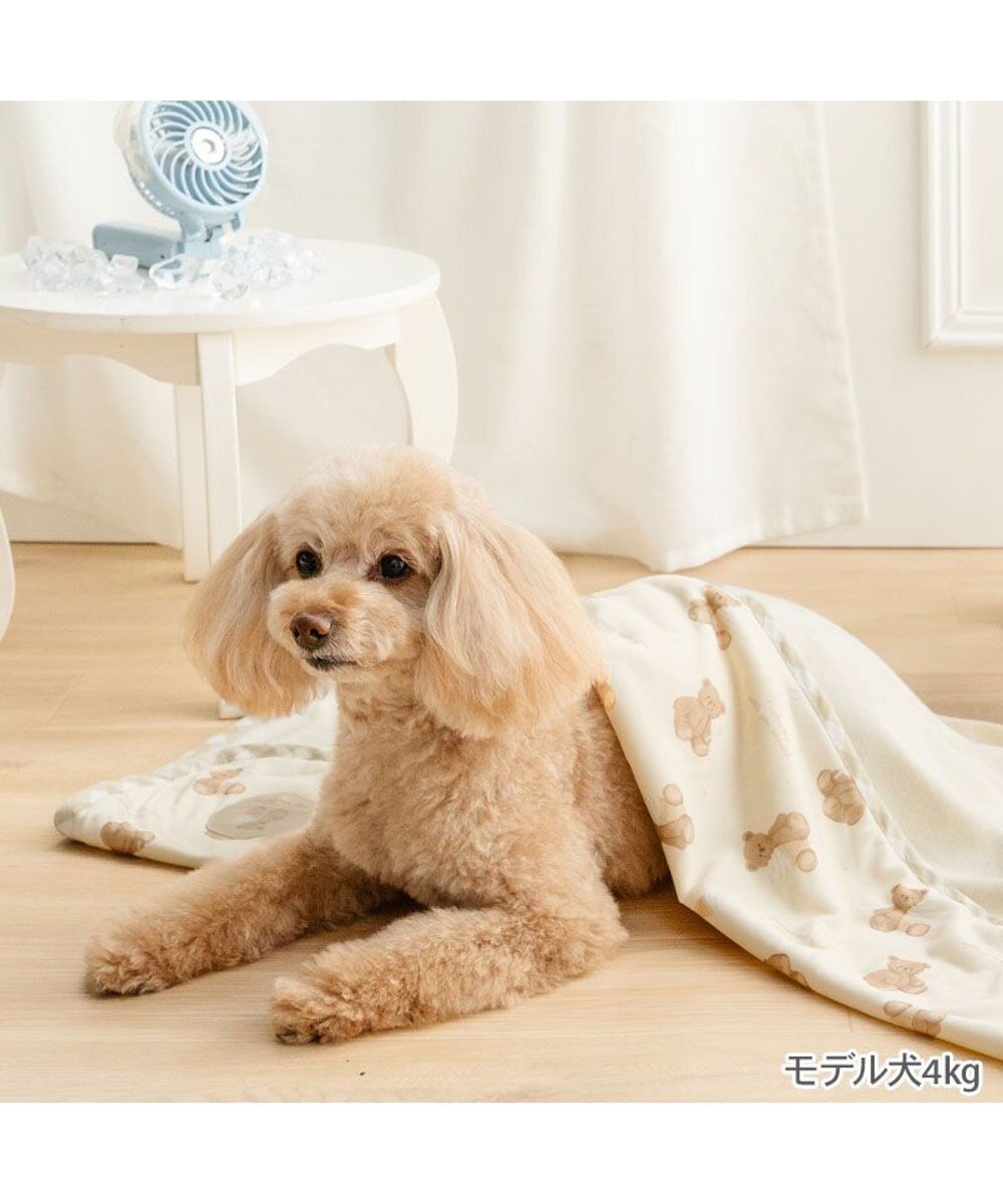 PET PARADISE ペットパラダイス くまちゃん クール ブランケット 《アイス柄》 