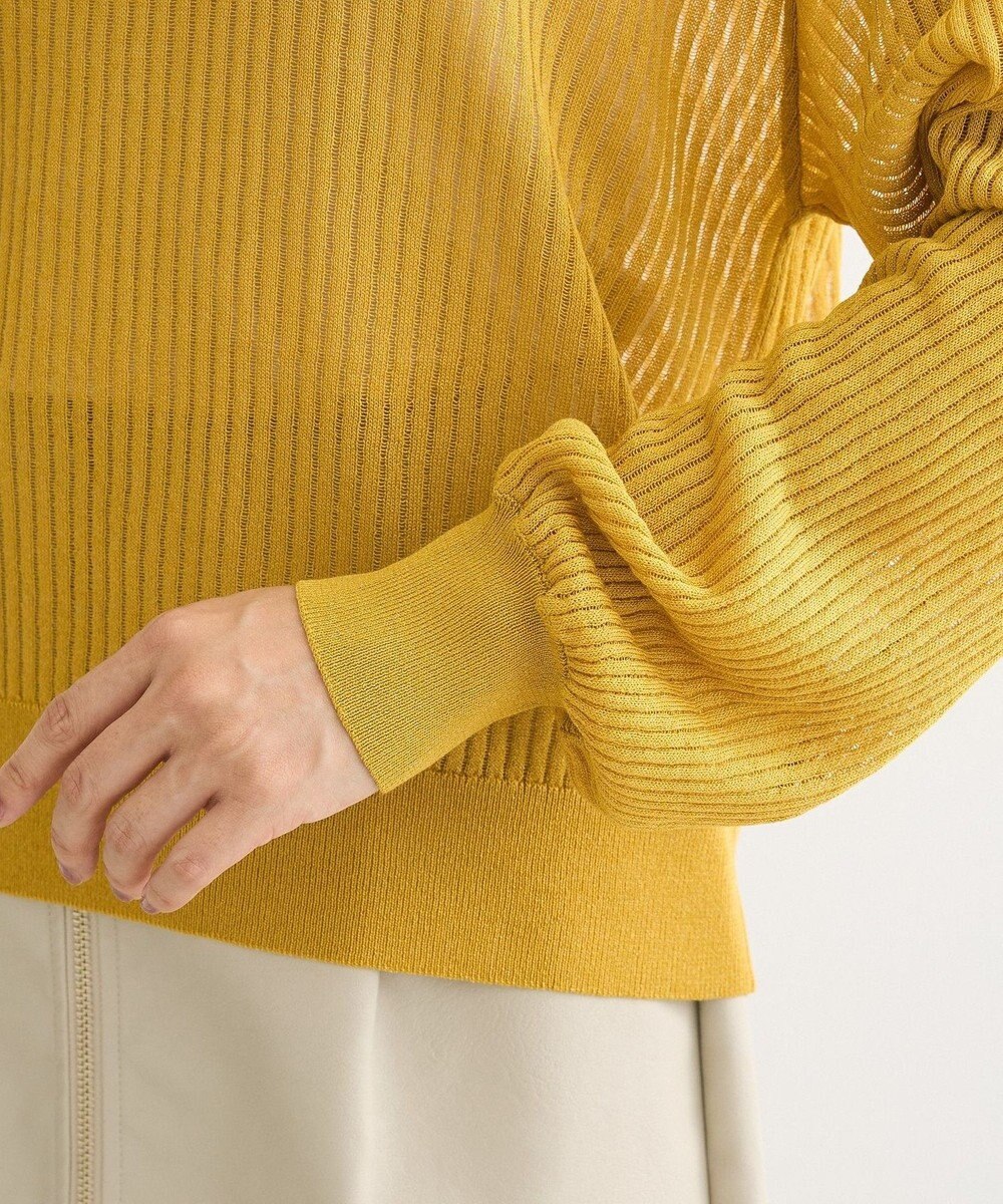 Green Parks ラメシアーリブニットプルオーバー 