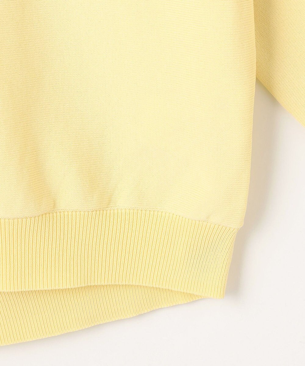 ANY スプリングカラーニットドルマンプルオーバー 