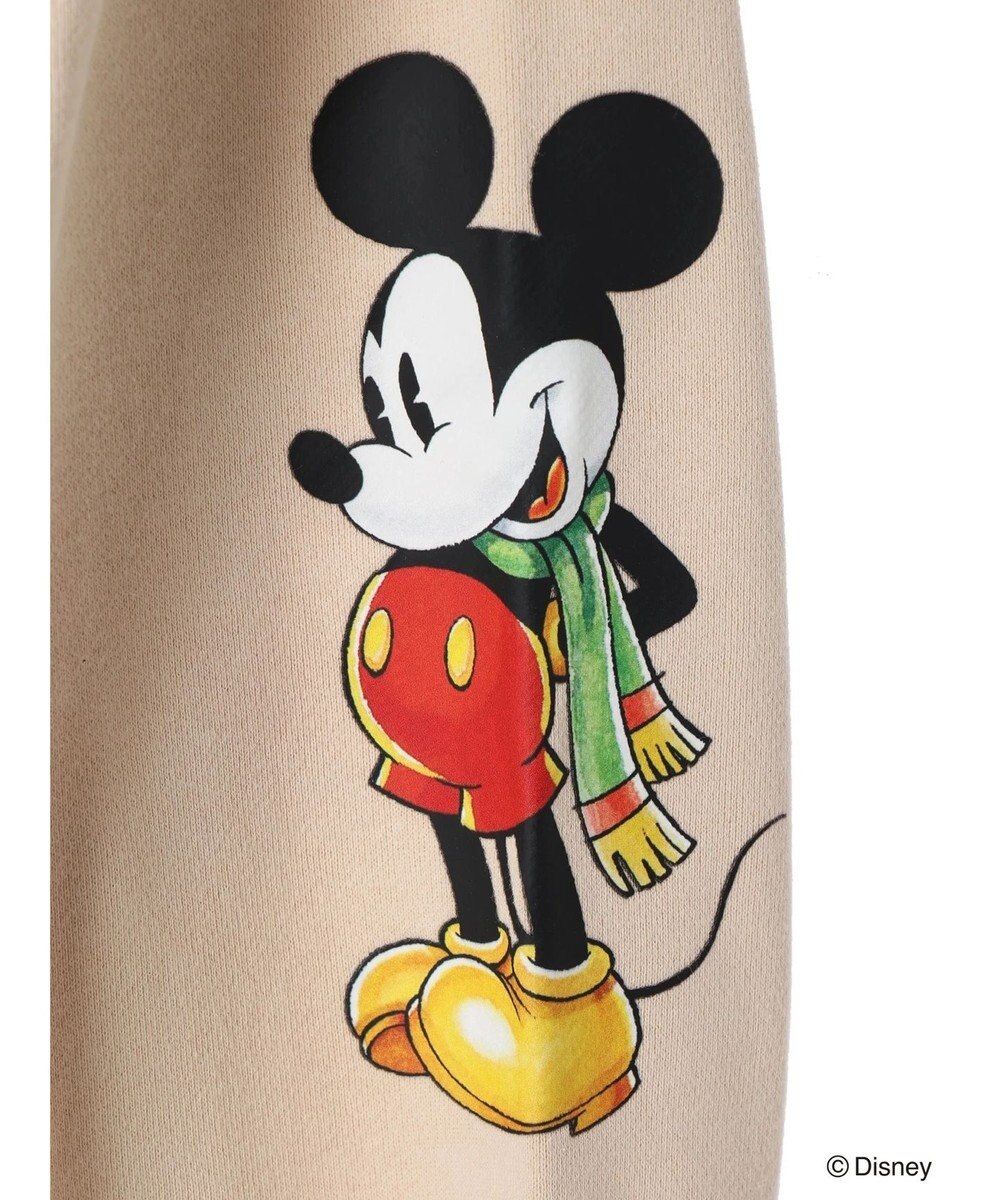 Green Parks Ｄｉｓｎｅｙ／裏毛ハーフＺＩＰスウェット 