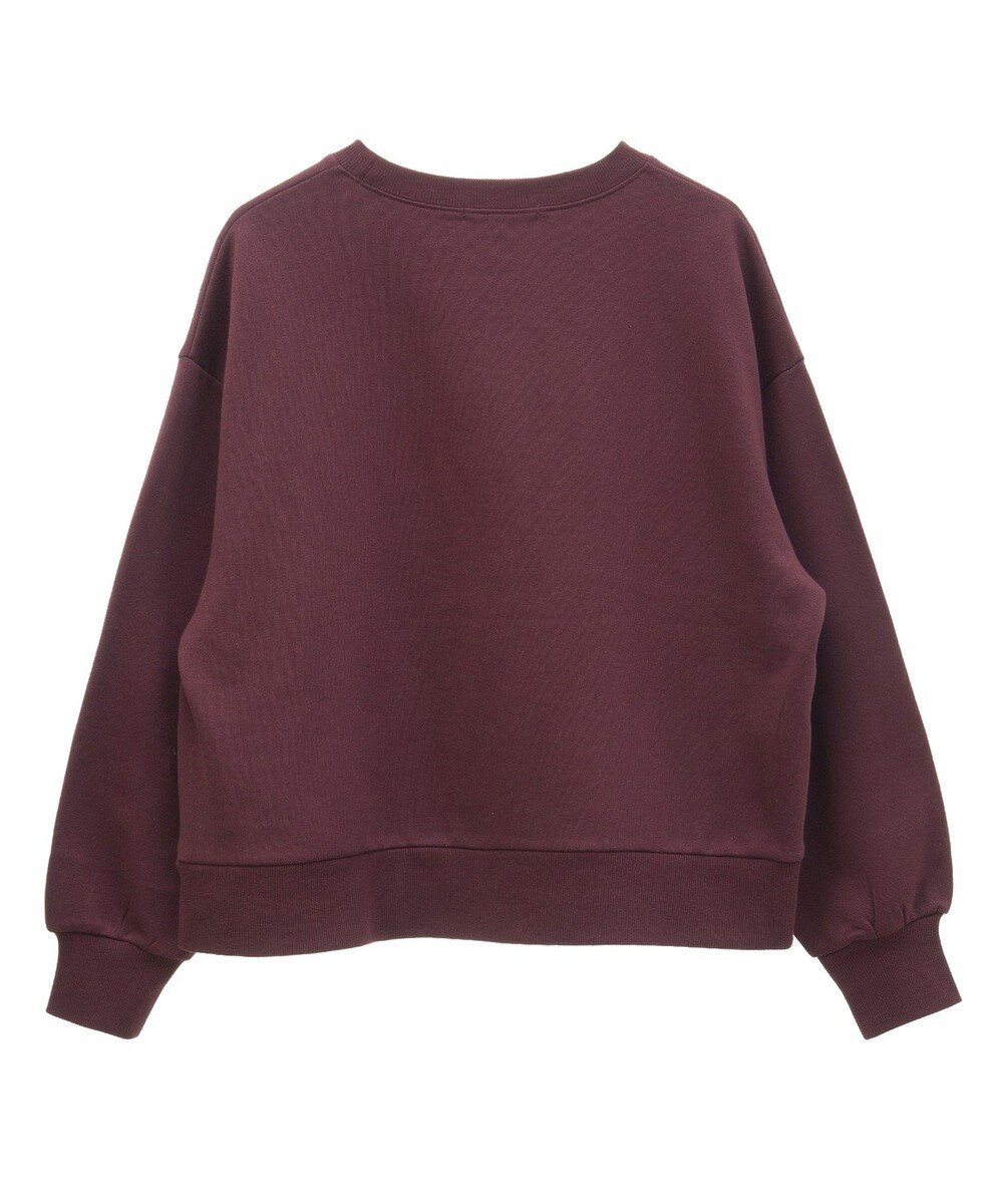 Green Parks 裏起毛フロッキーロゴプルオーバー 