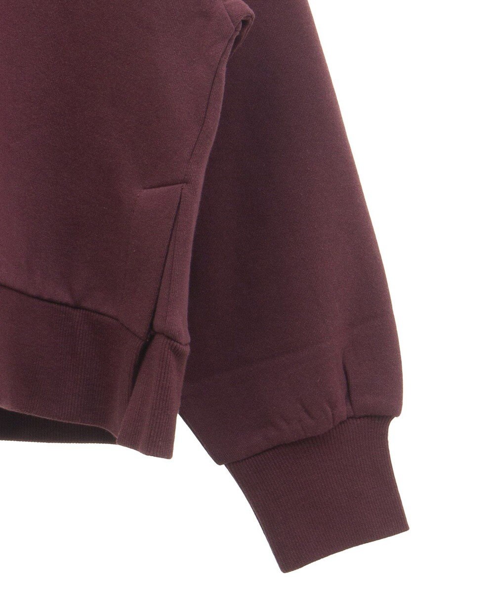 Green Parks 裏起毛フロッキーロゴプルオーバー 