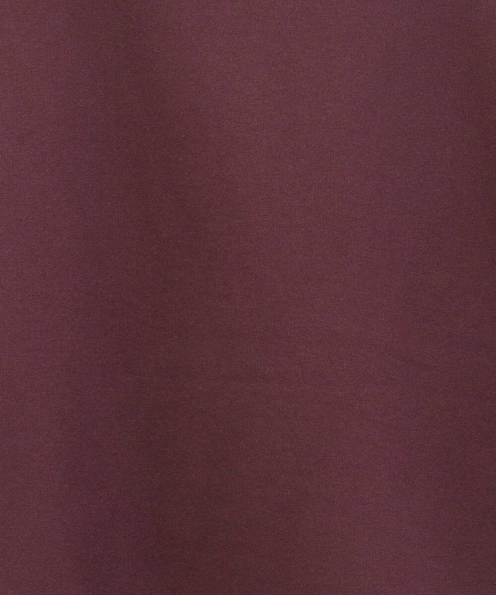 Green Parks 裏起毛フロッキーロゴプルオーバー 