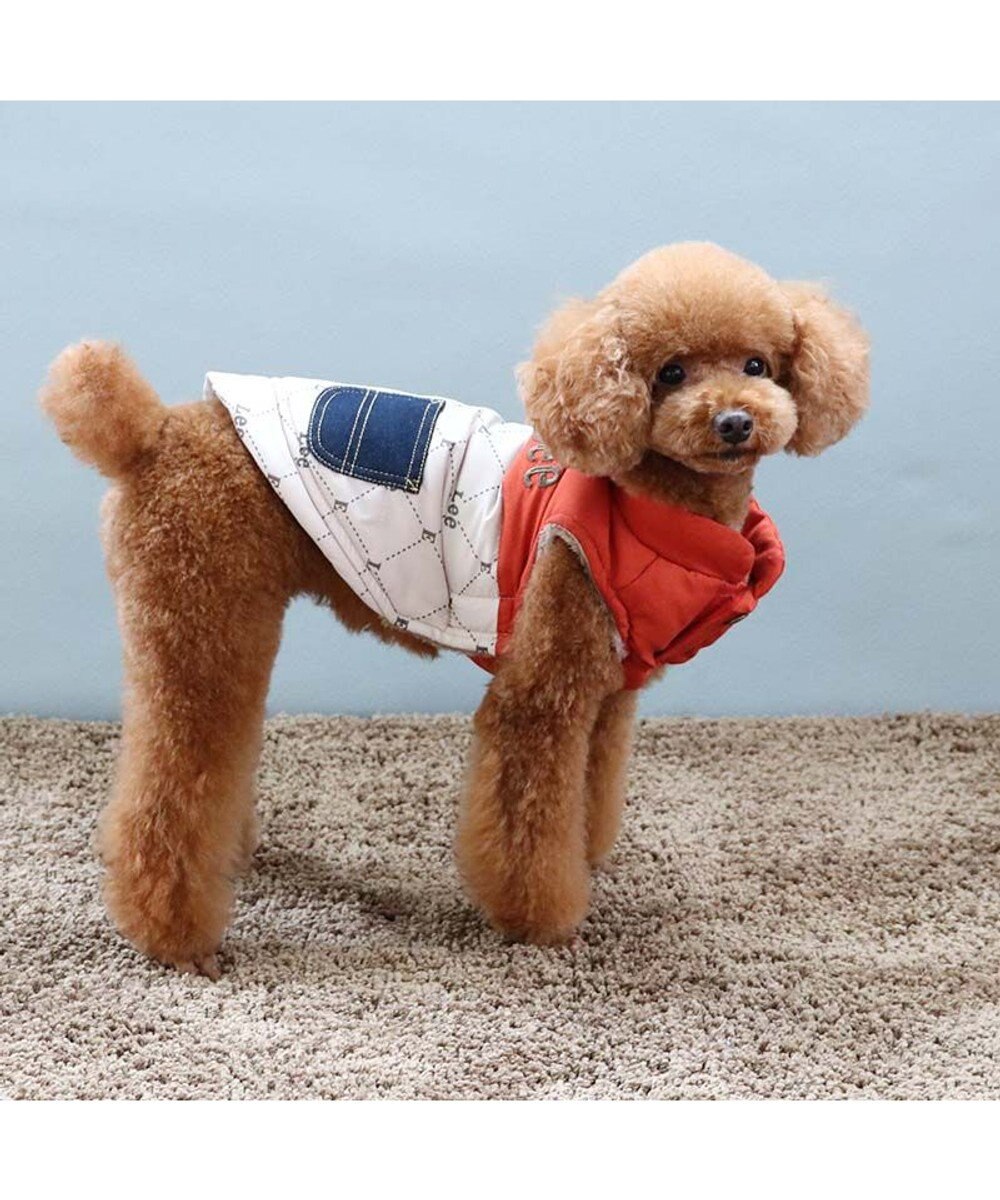 PET PARADISE LEE 綿入ベスト モノグラム 《オレンジ》 小型犬 