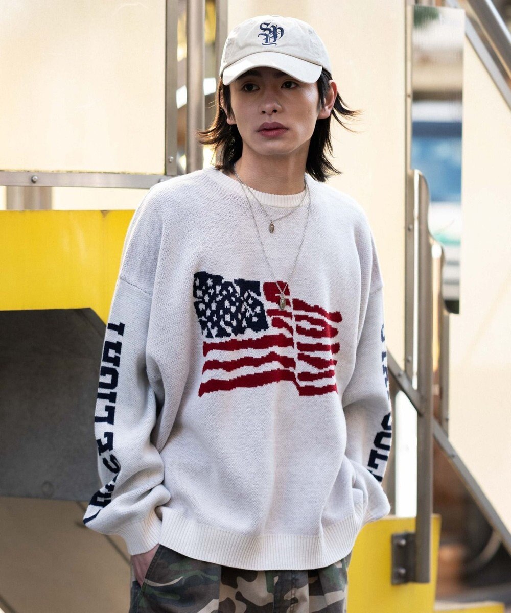 WEGO スリーブロゴニットプルオーバー 