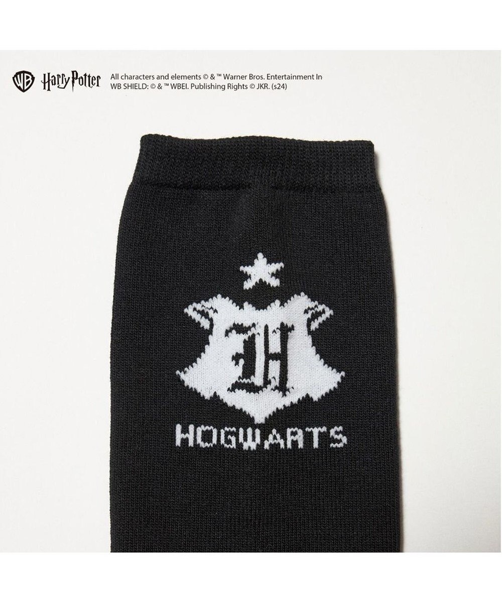 ing <ing>【ハリー・ポッターコラボレーション】エンブレムデザインソックス 
