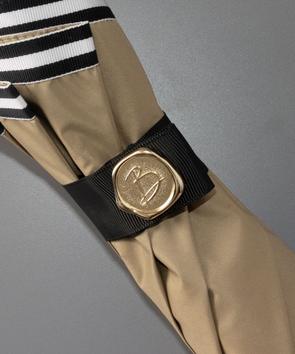 AURORA Beaurance （ビューランス）晴雨兼用傘（トップフラット） 