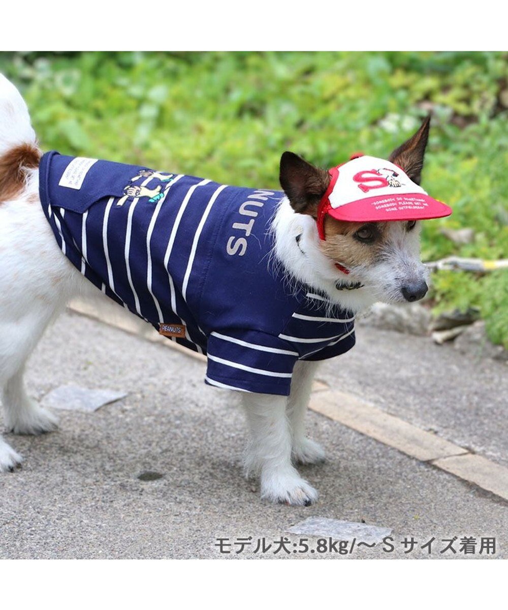 犬 販売済み 柄 キャップ