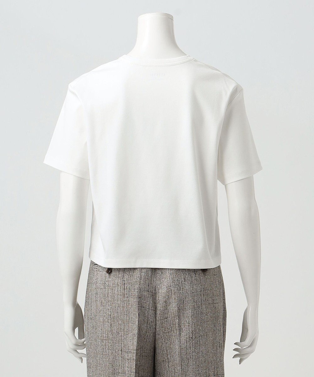 23区 【エステータ】スーピマコットン プレミアムジャージー 半袖クロップド丈Tシャツ 