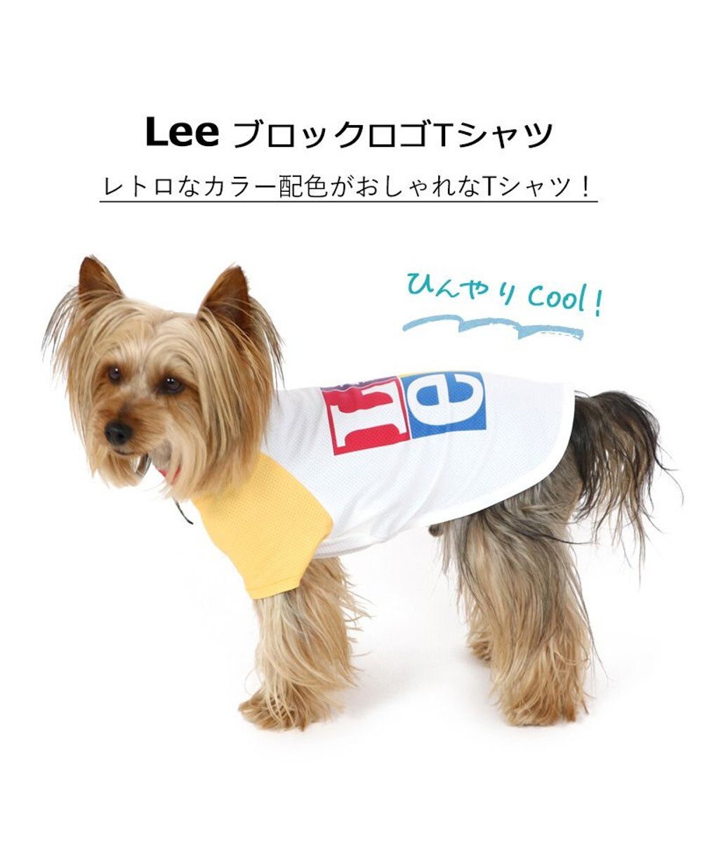 PET PARADISE 犬の服 夏 ひんやり クール メッシュ 接触冷感 虫よけ Ｌｅｅ ブロックロゴＴシャツ 【小型犬】クールマックスエコメイド 
