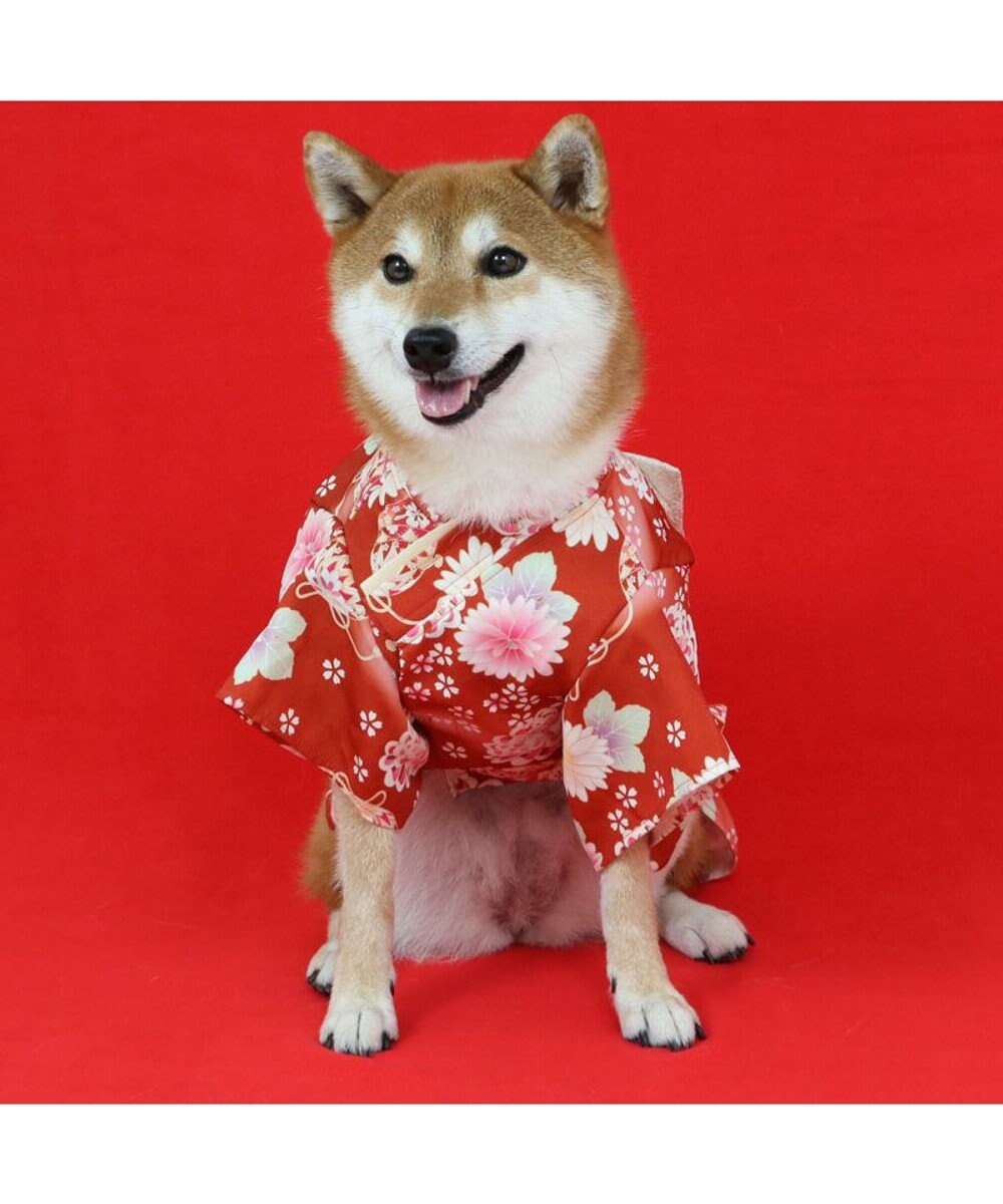 PET PARADISE ペットパラダイス 手毬菊 着物 中型犬 