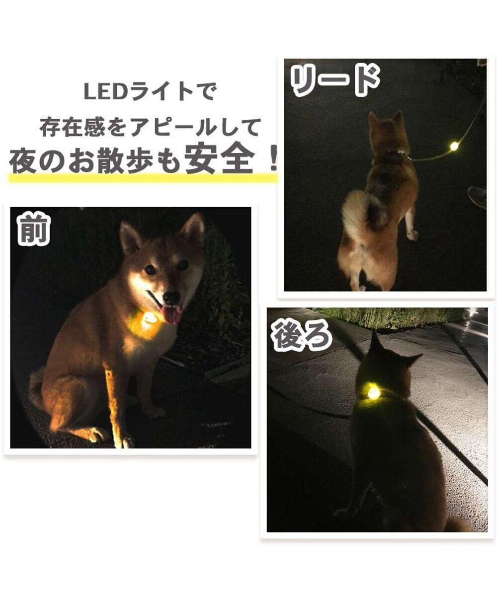 PET PARADISE ディズニー ミッキーマウス ＬＥＤ お散歩ライト 