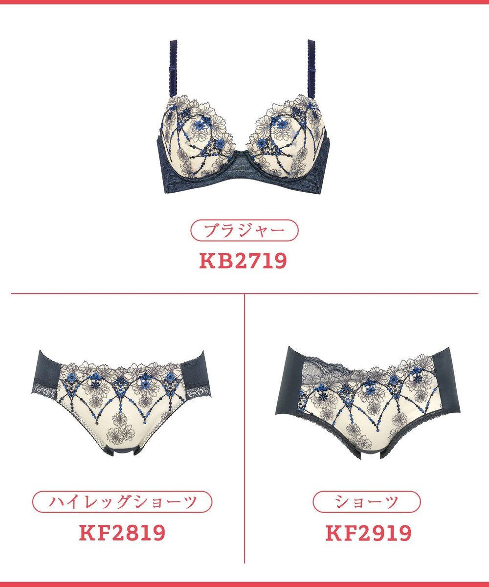 Wing ブラジャー 背中の段差をスムージング 脇高設計 脇から背中すっきり バストの脇流れをブロック 【後ろ姿きれいブラ】 ブラ KB2719 ウイング／ワコール 