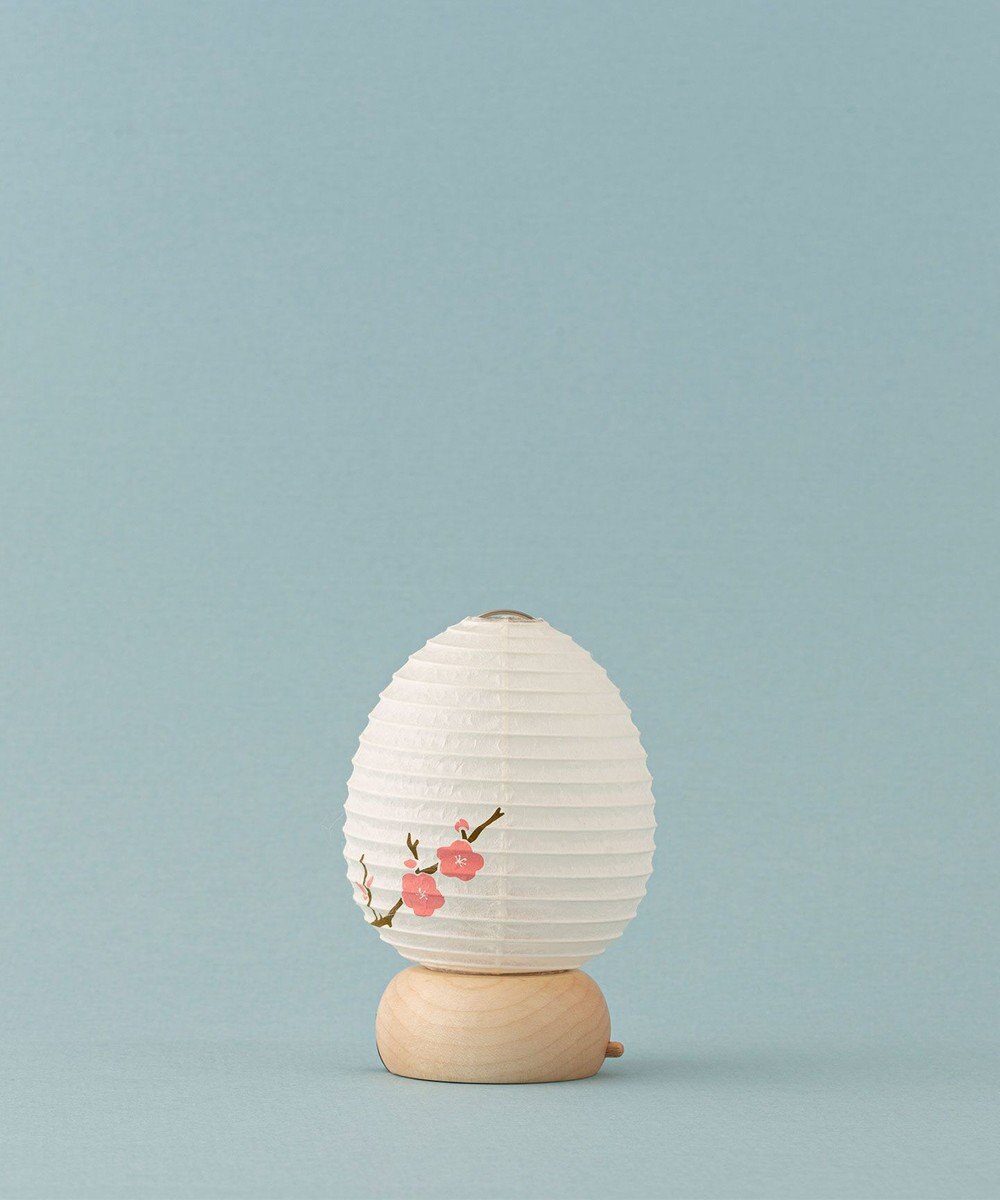 ちょうちん堂 【きもち】AKOGARE 梅 ちょうちん ライト 