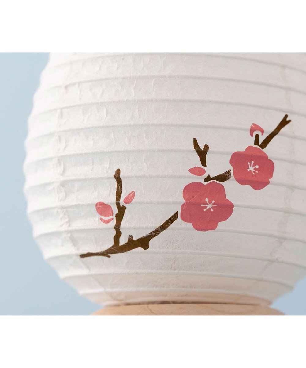 ちょうちん堂 【きもち】AKOGARE 梅 ちょうちん ライト 