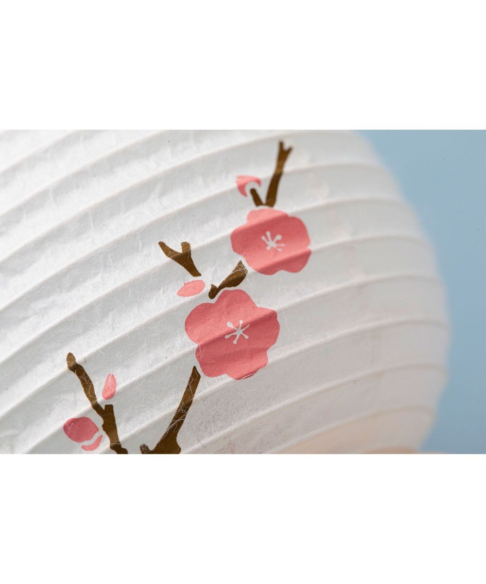 ちょうちん堂 【きもち】AKOGARE 梅 ちょうちん ライト 