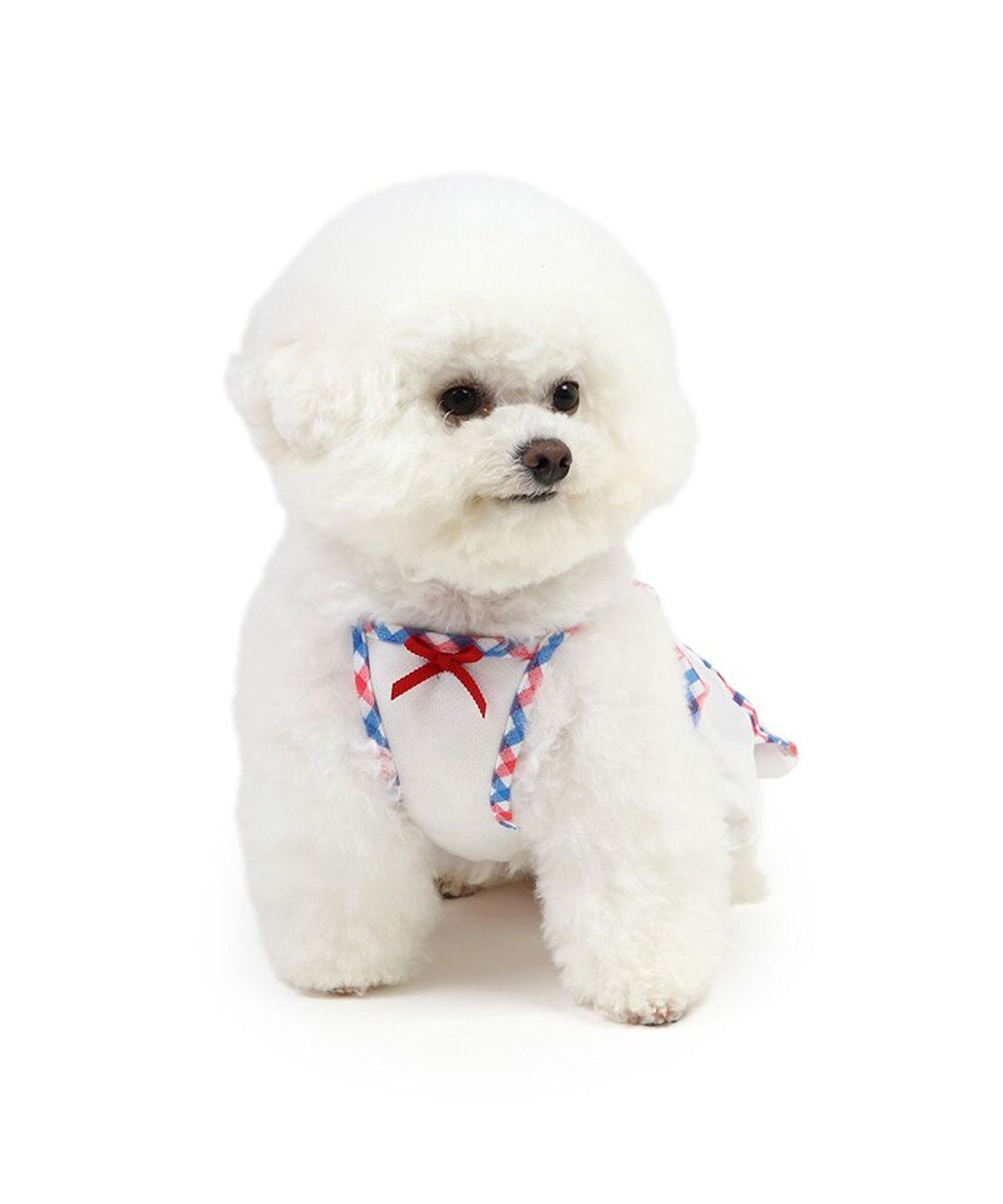 PET PARADISE リサとガスパール エコメイド ワンピース 《チェック》 小型犬 