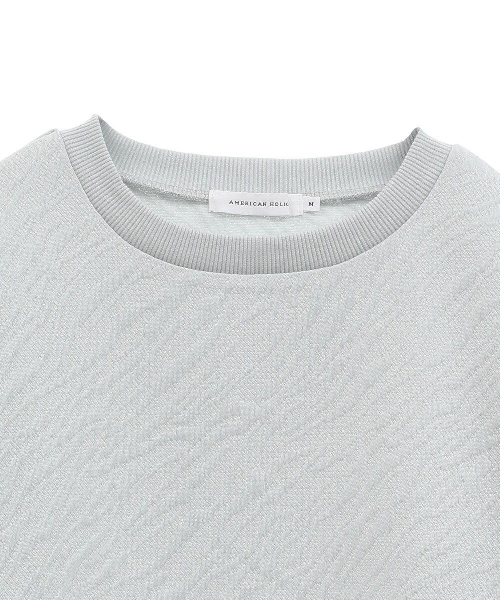 AMERICAN HOLIC ゼブラ柄ジャガードカットプルオーバー 