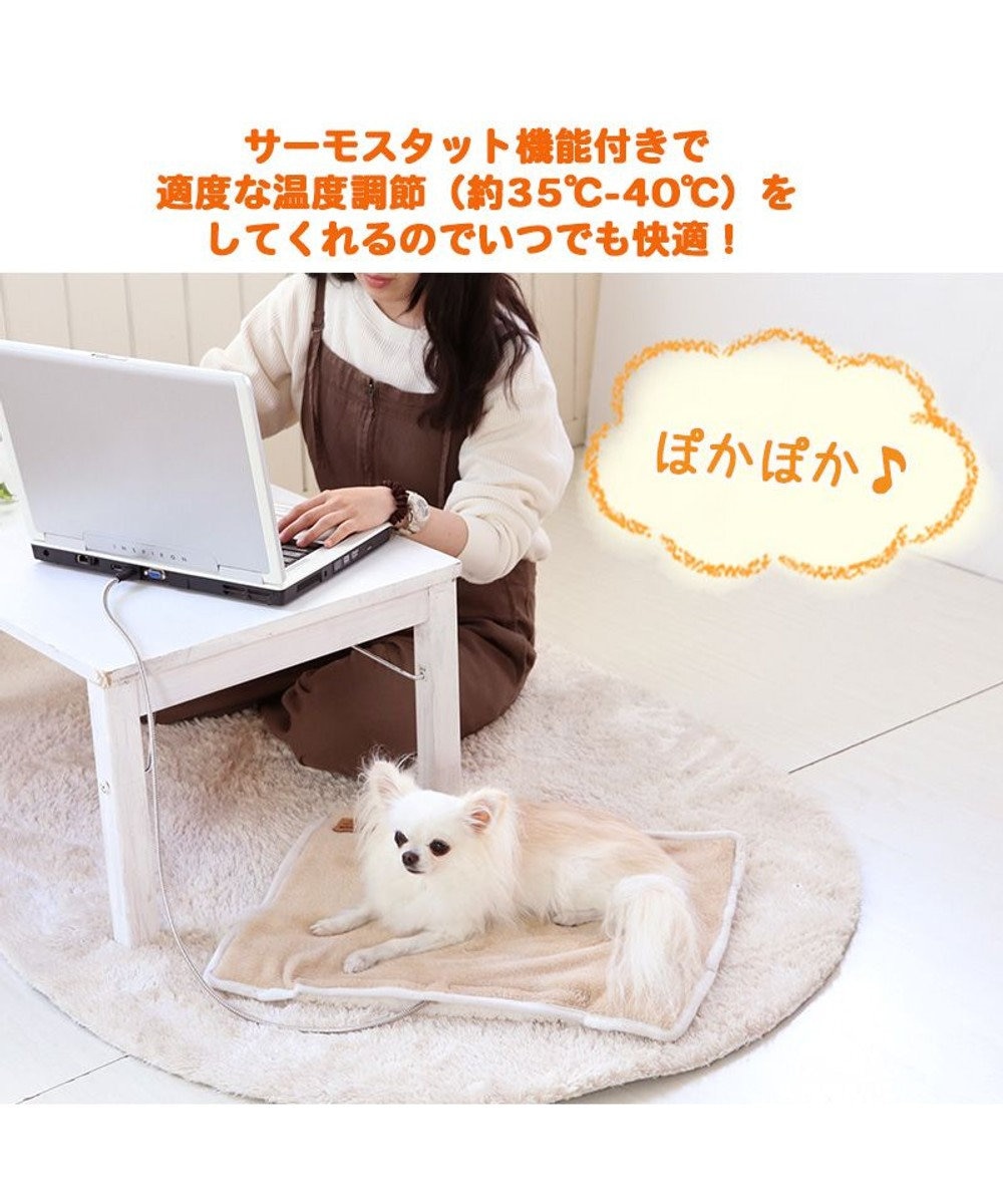 ペットパラダイス USB あったかマット (55×40cm) / PET PARADISE