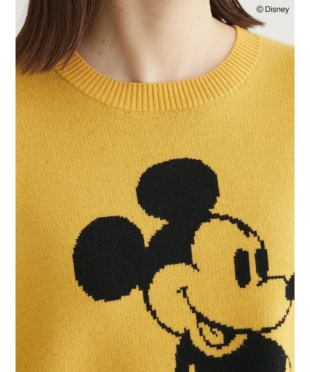 Green Parks Ｄｉｓｎｅｙ／ジャガードニットプルオーバー 