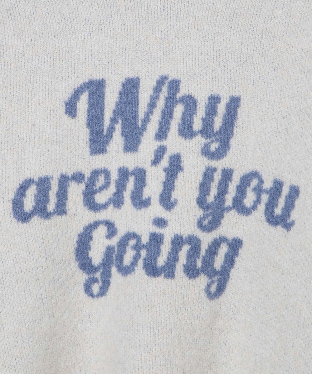 WEGO フラッフィーロゴジャガードニットプルオーバー 