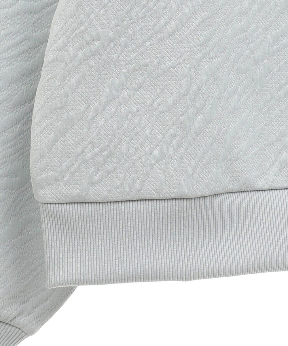 AMERICAN HOLIC ゼブラ柄ジャガードカットプルオーバー 