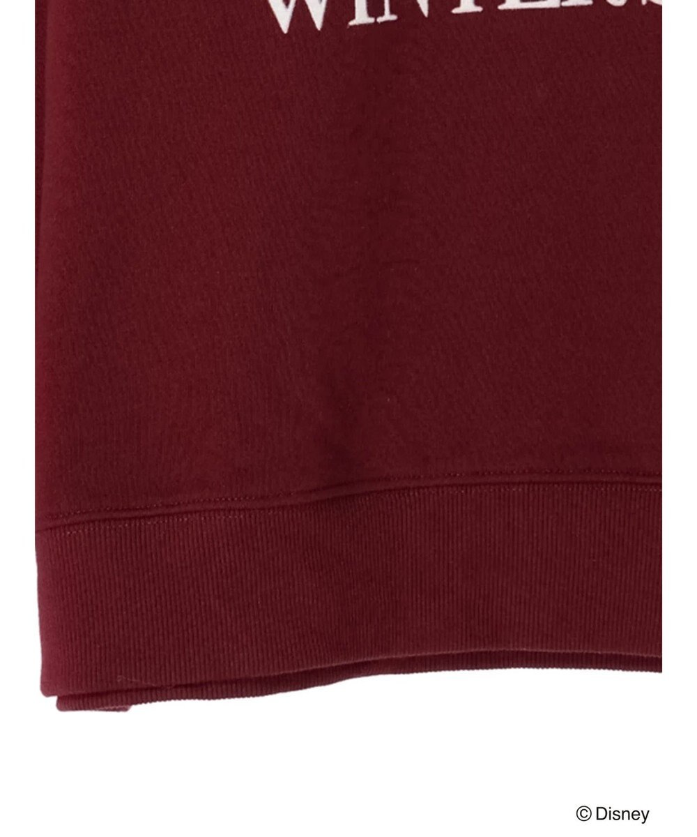 Green Parks Ｄｉｓｎｅｙ／裏起毛フロッキープリントスウェットII 