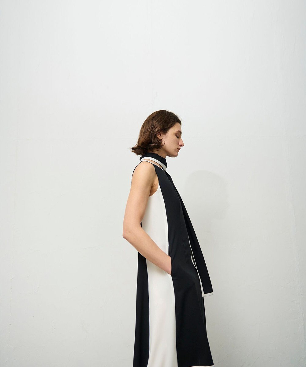 GRACE CONTINENTAL バイカラーフレームドレス 