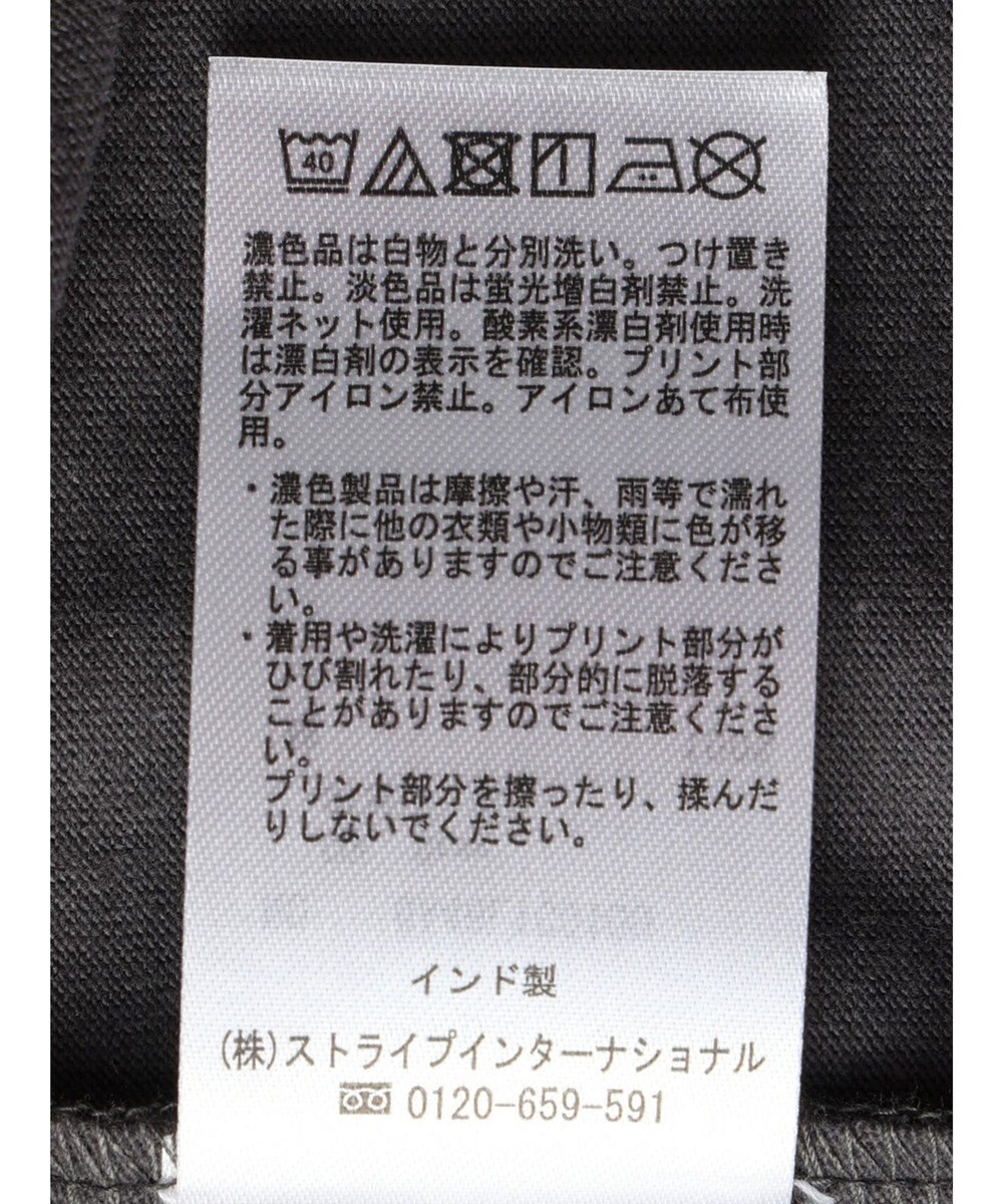 Green Parks インド綿 ＢＩＧサイズアーチロゴ半袖プルオーバー 